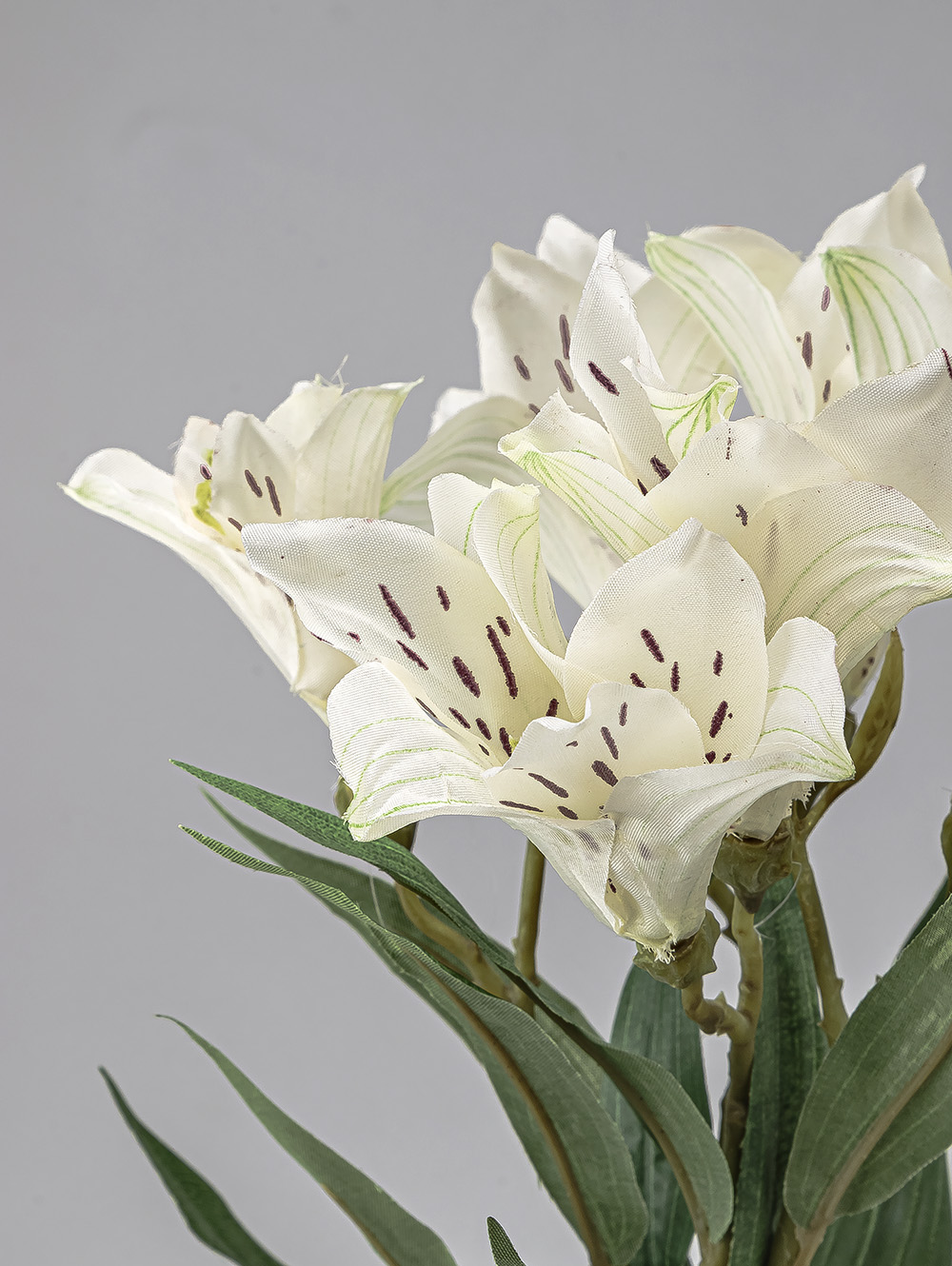 VARA LIRIO image number null