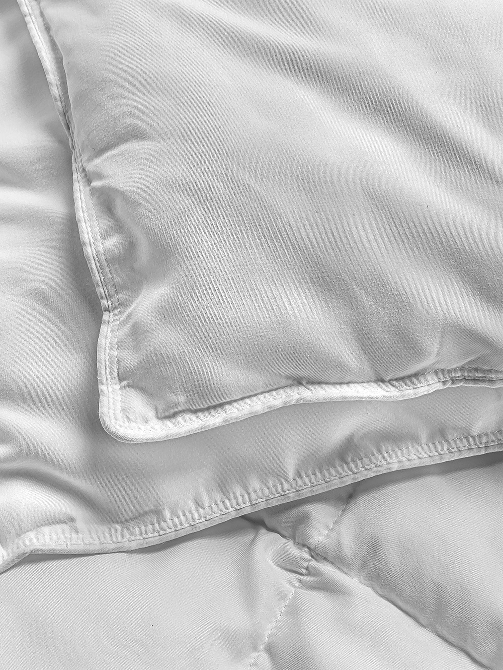 EDREDON CALIFORNIA image number null