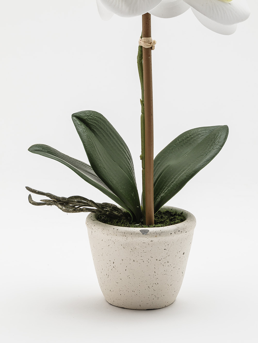 flores artificiales-ORQUIDEA GIULIA M WHITE-TOP-5.jpg image number null