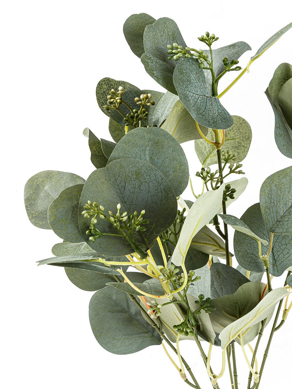 VARA EUCALIPTO ELISA image number null