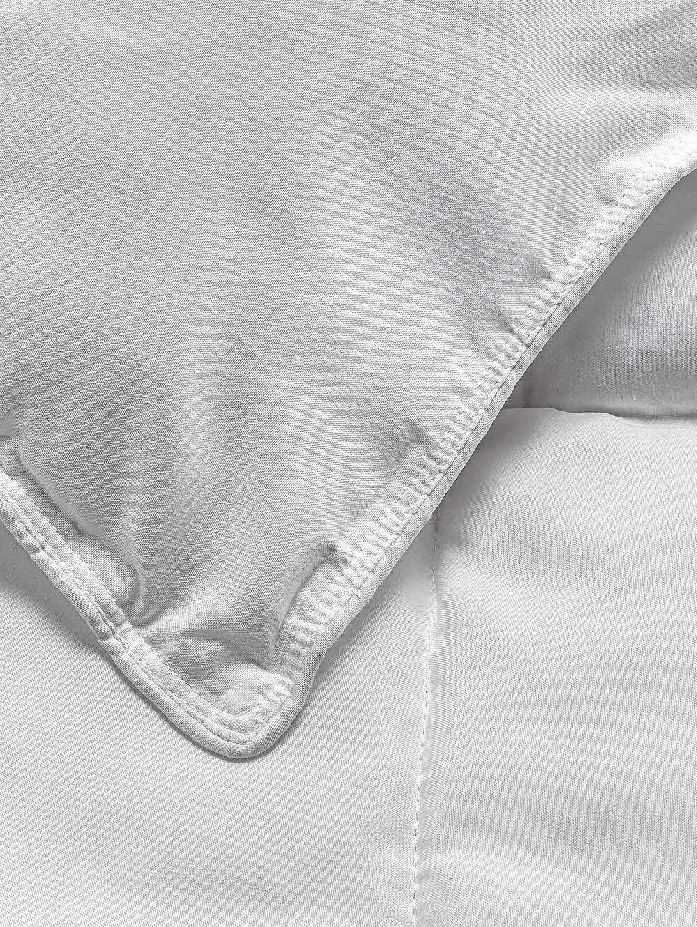 EDREDON CALIFORNIA image number null