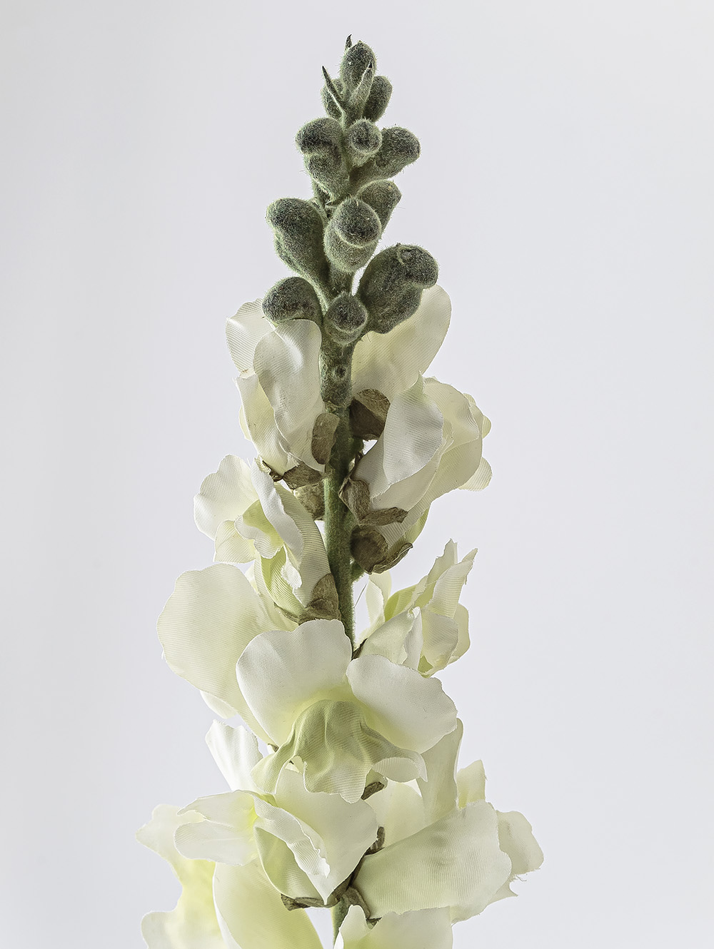 planta artificial-VARA CONEJITO ELISA-LC CISNES-3.jpg image number null
