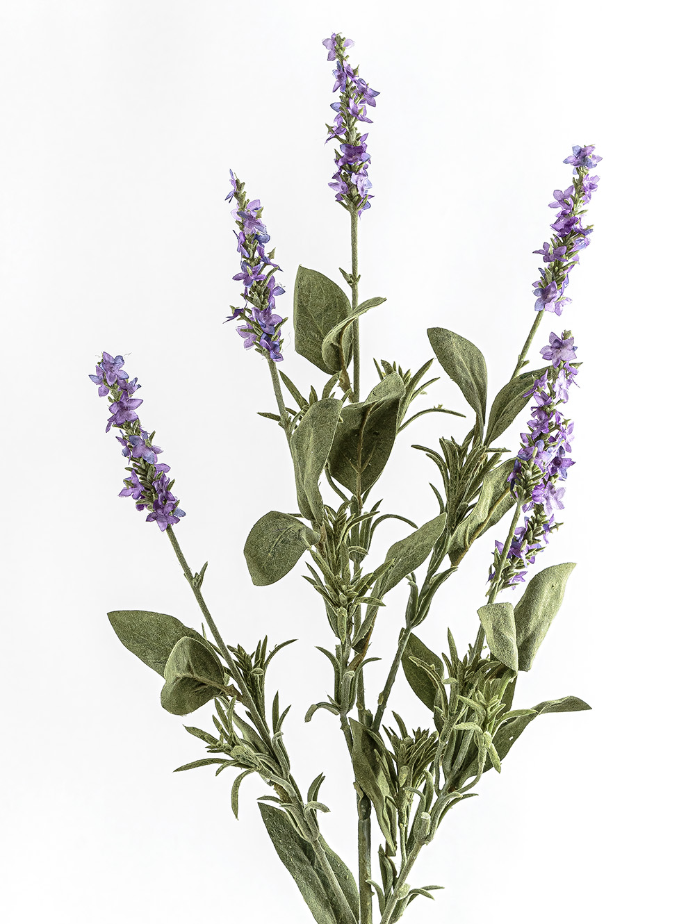 planta artificial-VARA LAVANDA-LC CISNES-2.jpg image number null