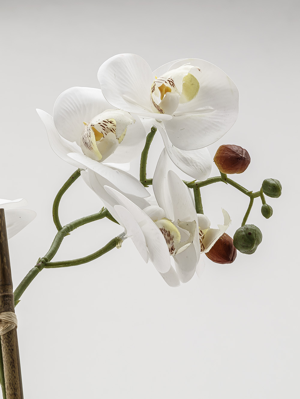 flores artificiales-ORQUIDEA GIULIA L CEMENTO-TOP-5.jpg image number null