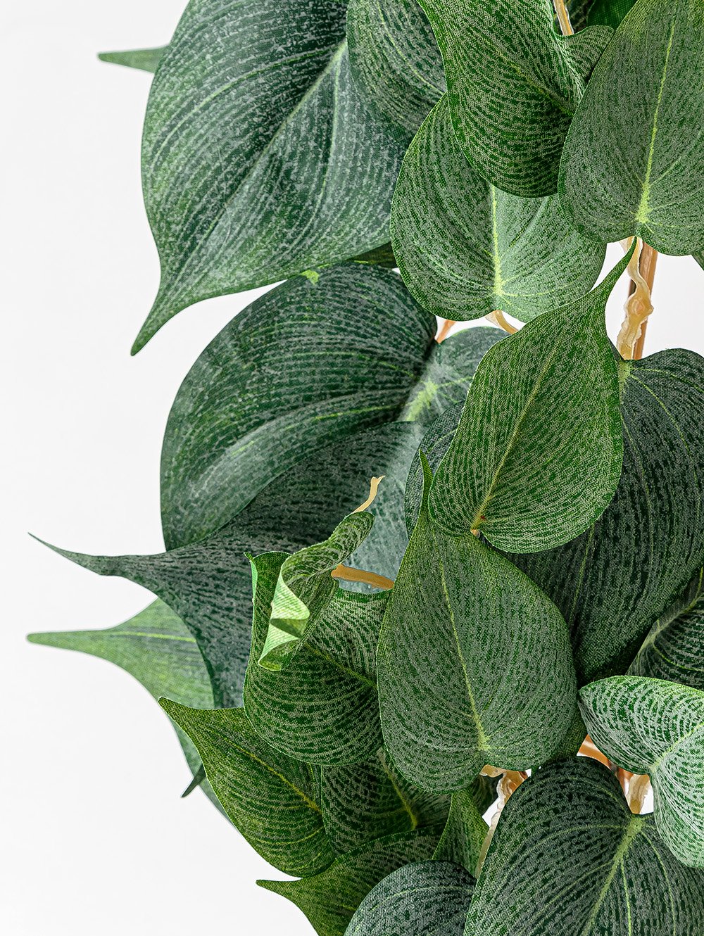 POTUS COLGANTE image number null