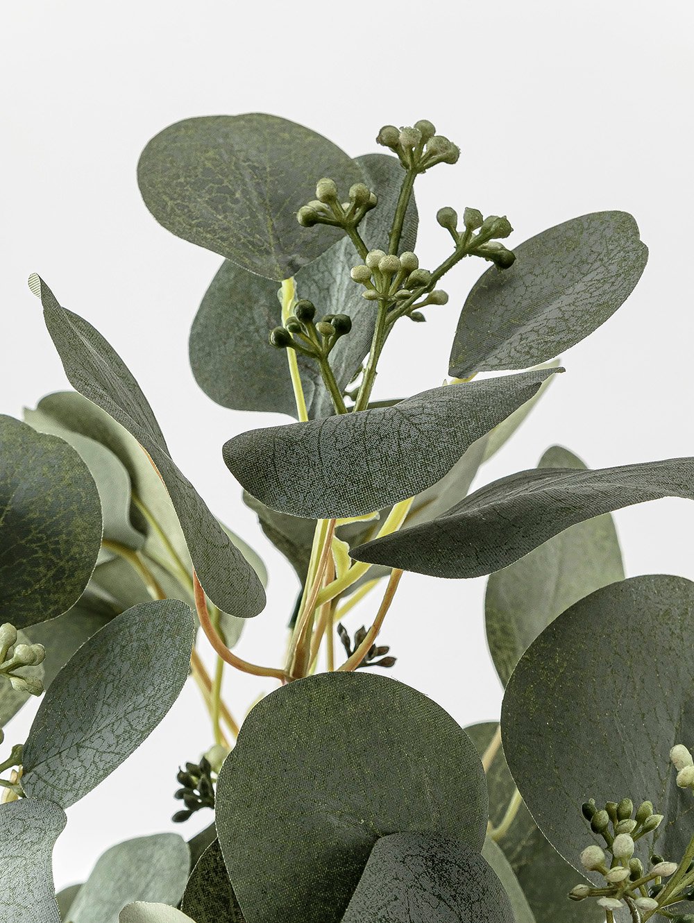 planta artificial-RAMO EUCALIPTO ELISA-LC CISNES-4.jpg image number null