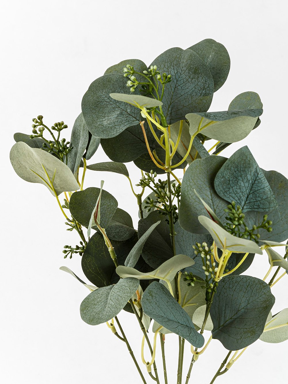 VARA EUCALIPTO ELISA image number null