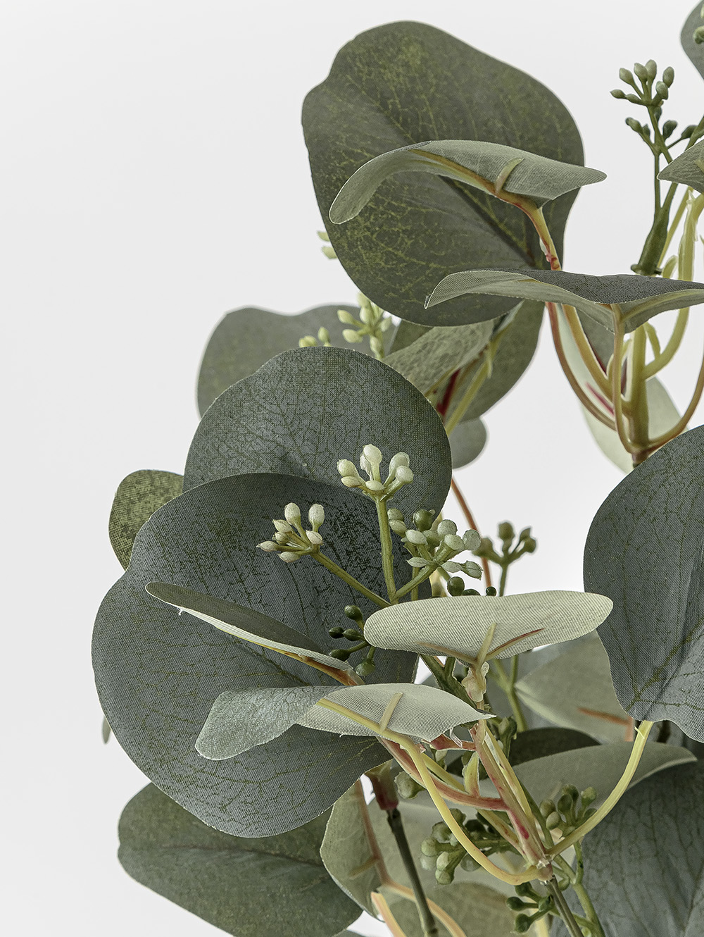 planta artificial-RAMO EUCALIPTO ELISA-LC CISNES-5.jpg image number null