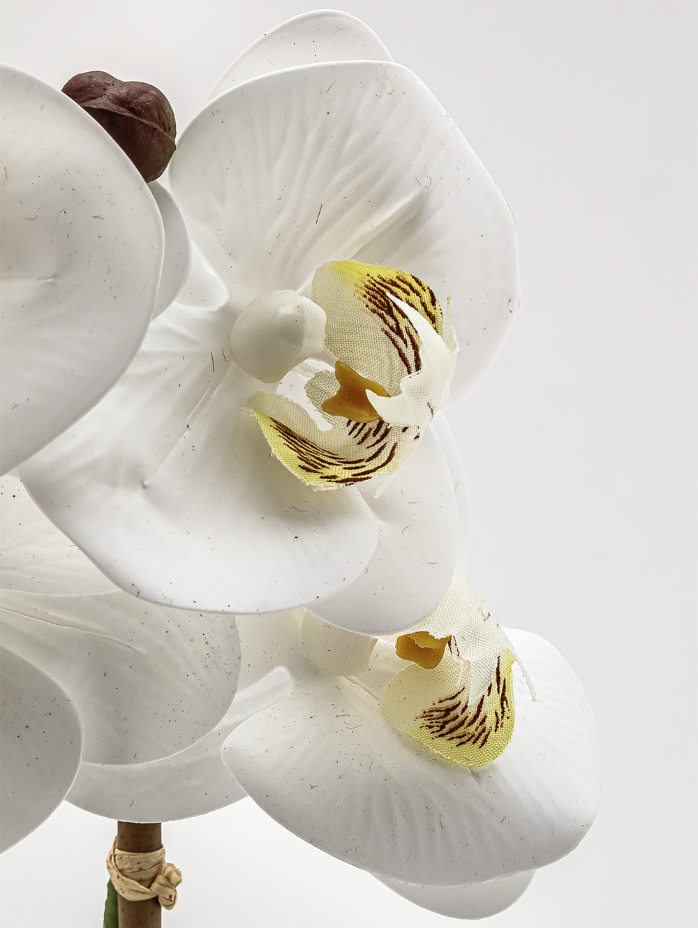 flores artificiales-ORQUIDEA GIULIA M WHITE-TOP-10.jpg image number null