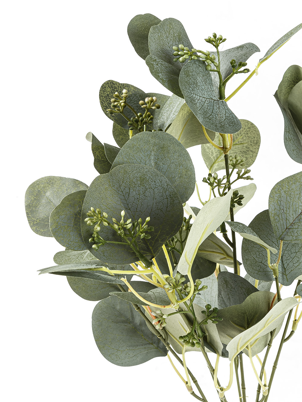 VARA EUCALIPTO ELISA image number null