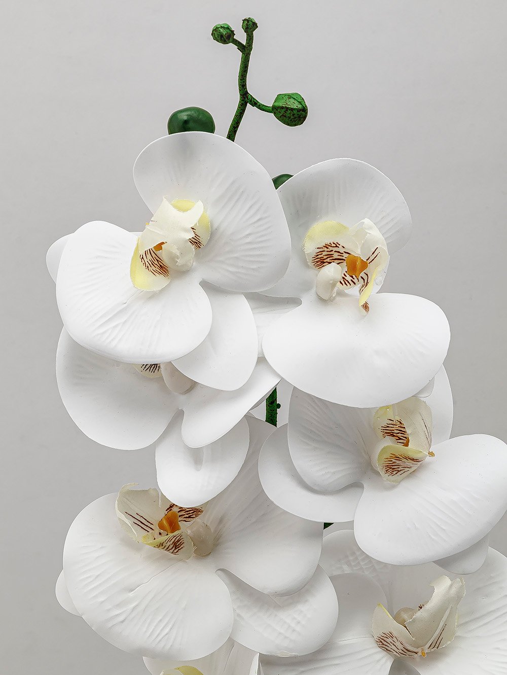 flores artificiales-VARA ORQUIDEA TESS WHITE-TOP-1.jpg image number null