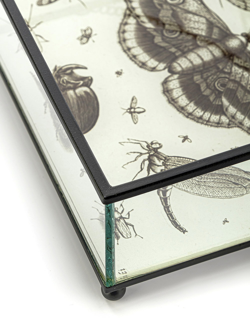 CAJA DE VIDRIO BITELY image number null