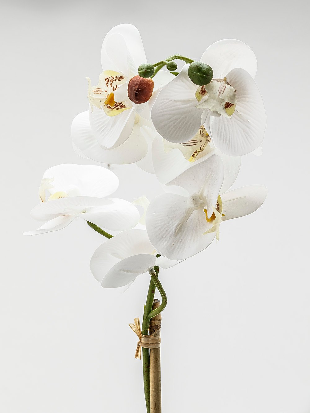 flores artificiales-ORQUIDEA GIULIA L CEMENTO-TOP-3.jpg image number null