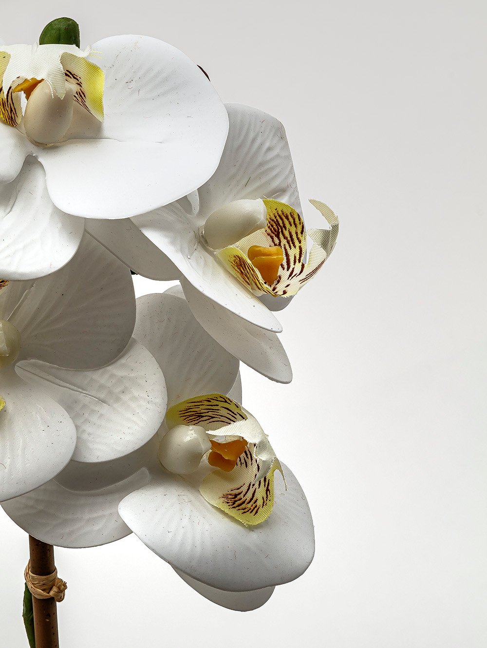 flores artificiales-ORQUIDEA GIULIA M WHITE-TOP-12.jpg image number null
