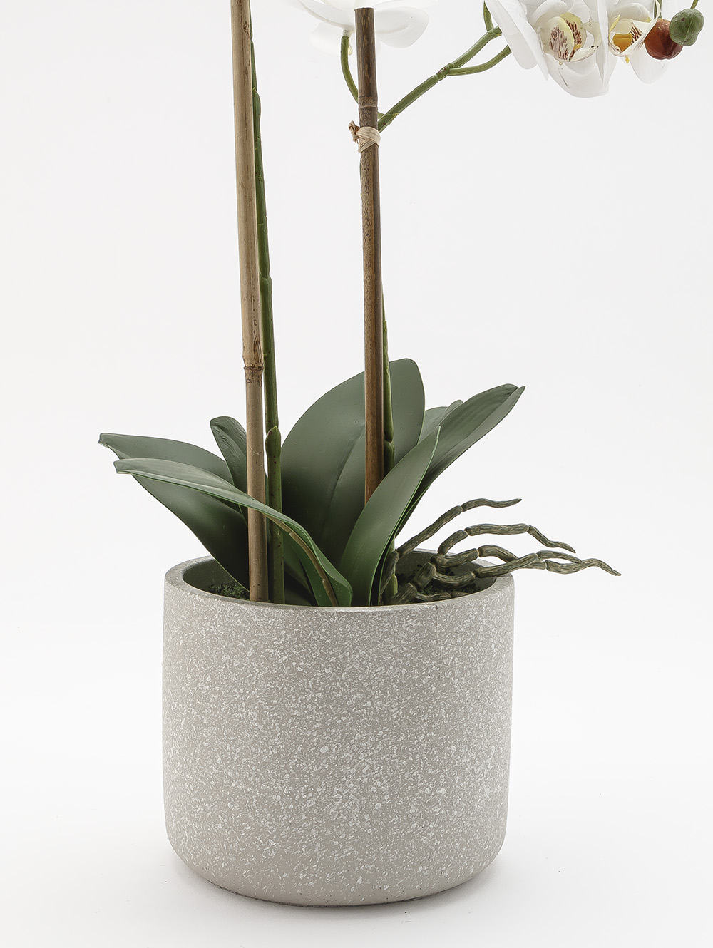 flores artificiales-ORQUIDEA GIULIA L CEMENTO-TOP-4.jpg image number null