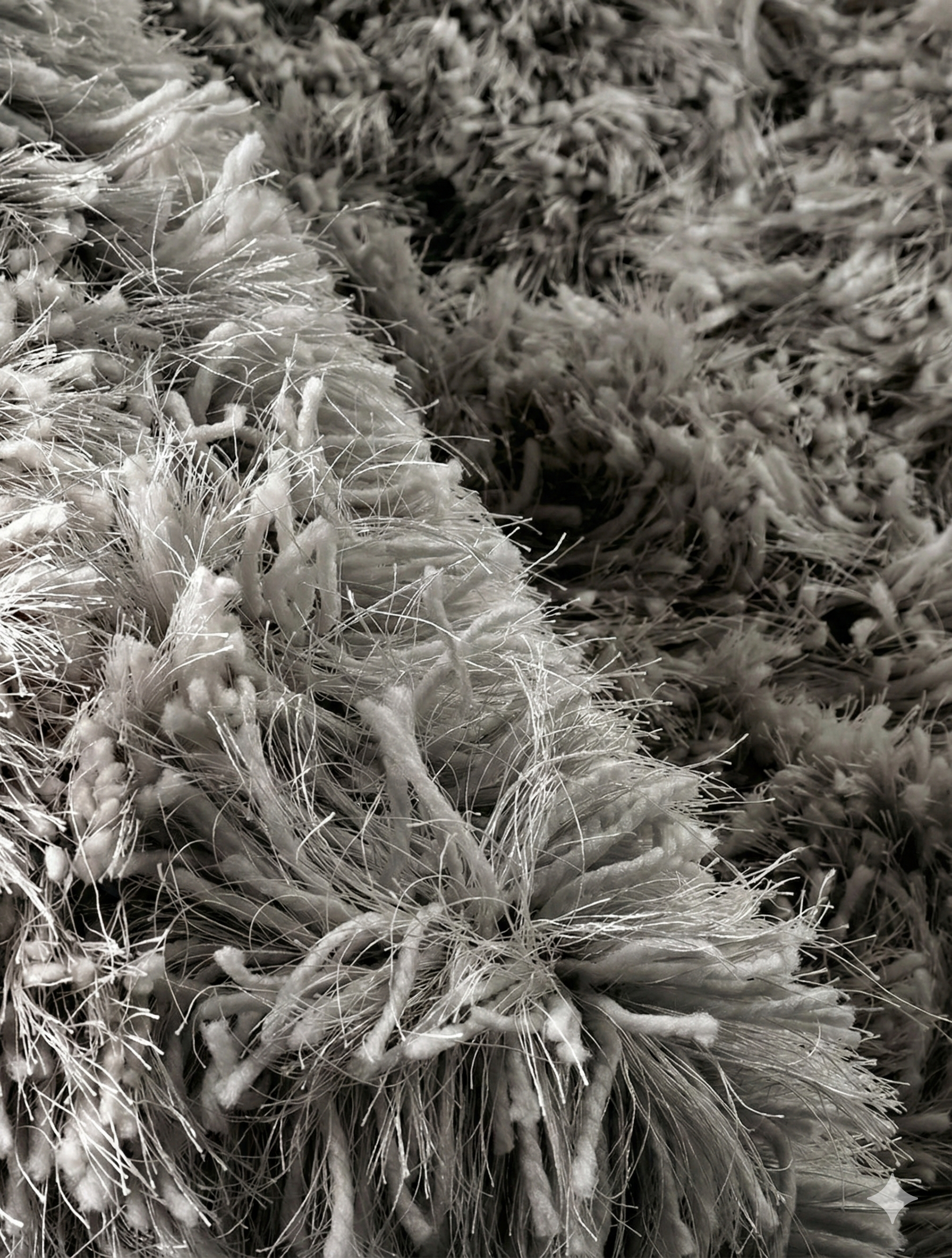 SHAGGY FUNKY image number null