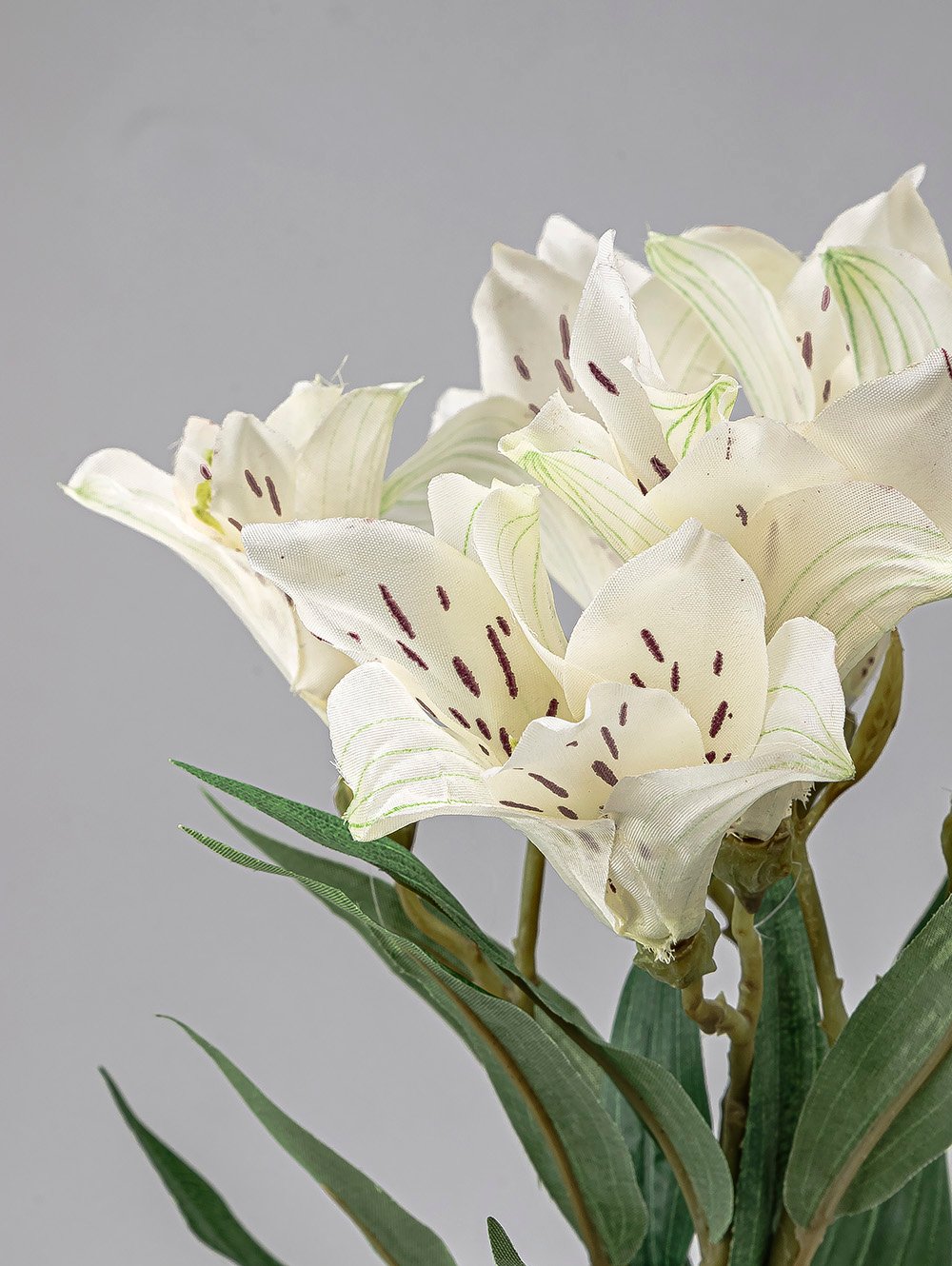 planta-artificial-VARA-LIRIO-LC-CISNES-5.jpg image number null