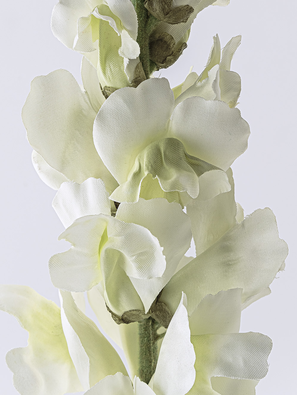 planta artificial-VARA CONEJITO ELISA-LC CISNES-5.jpg image number null