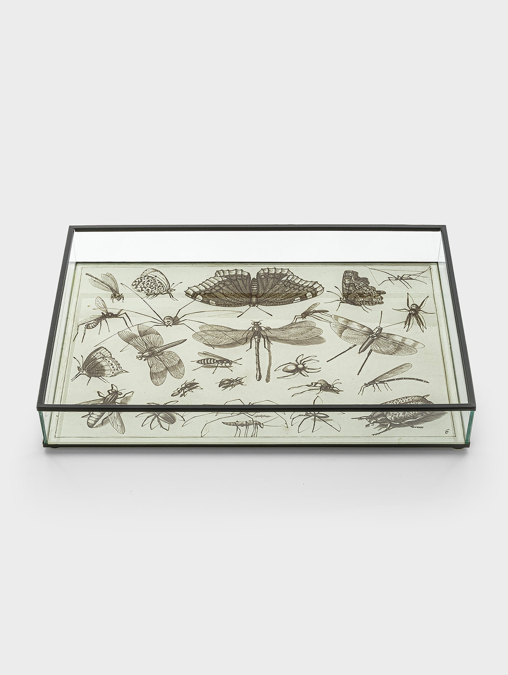 BANDEJA BITELY image number null