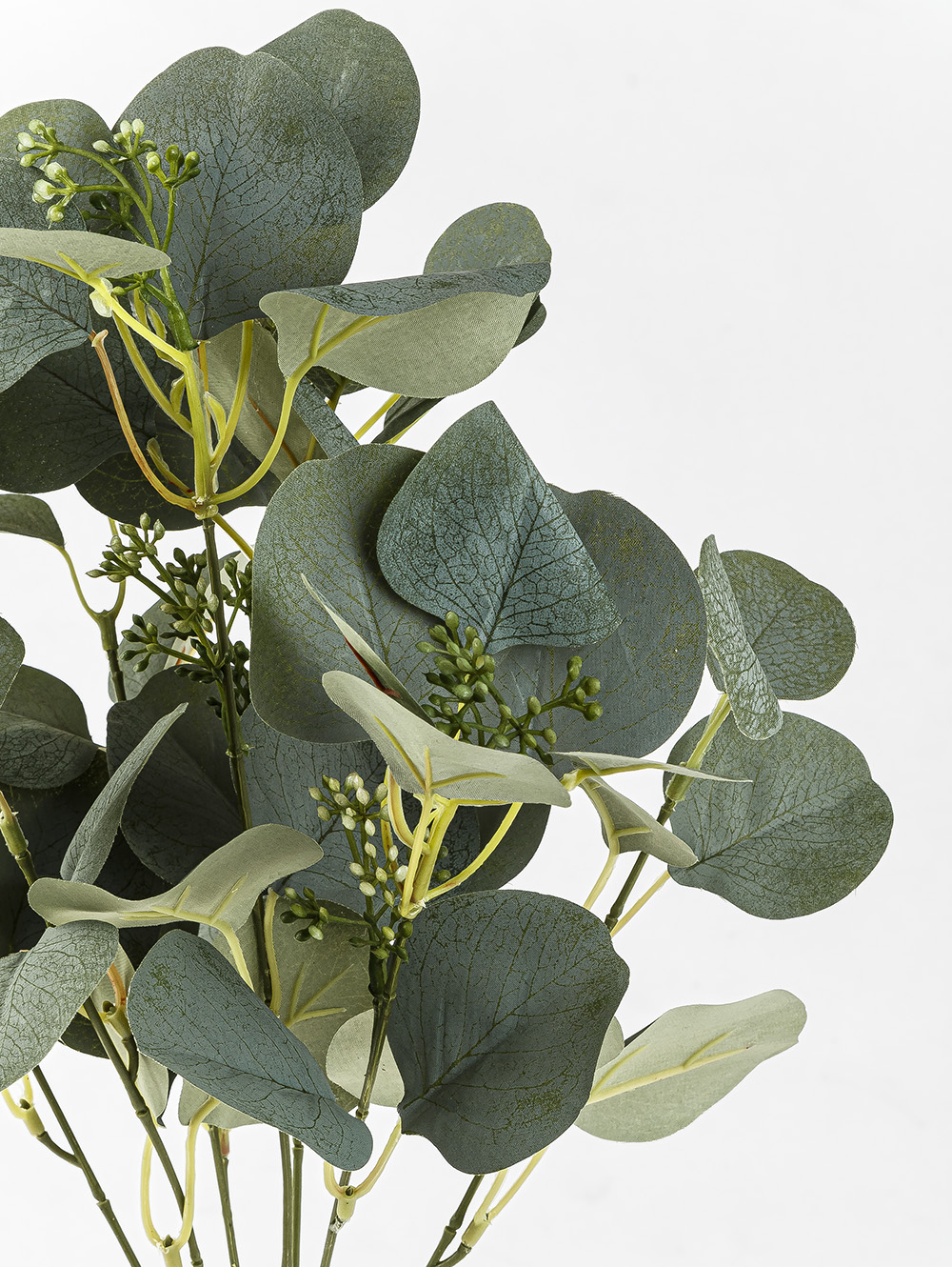 VARA EUCALIPTO ELISA image number null