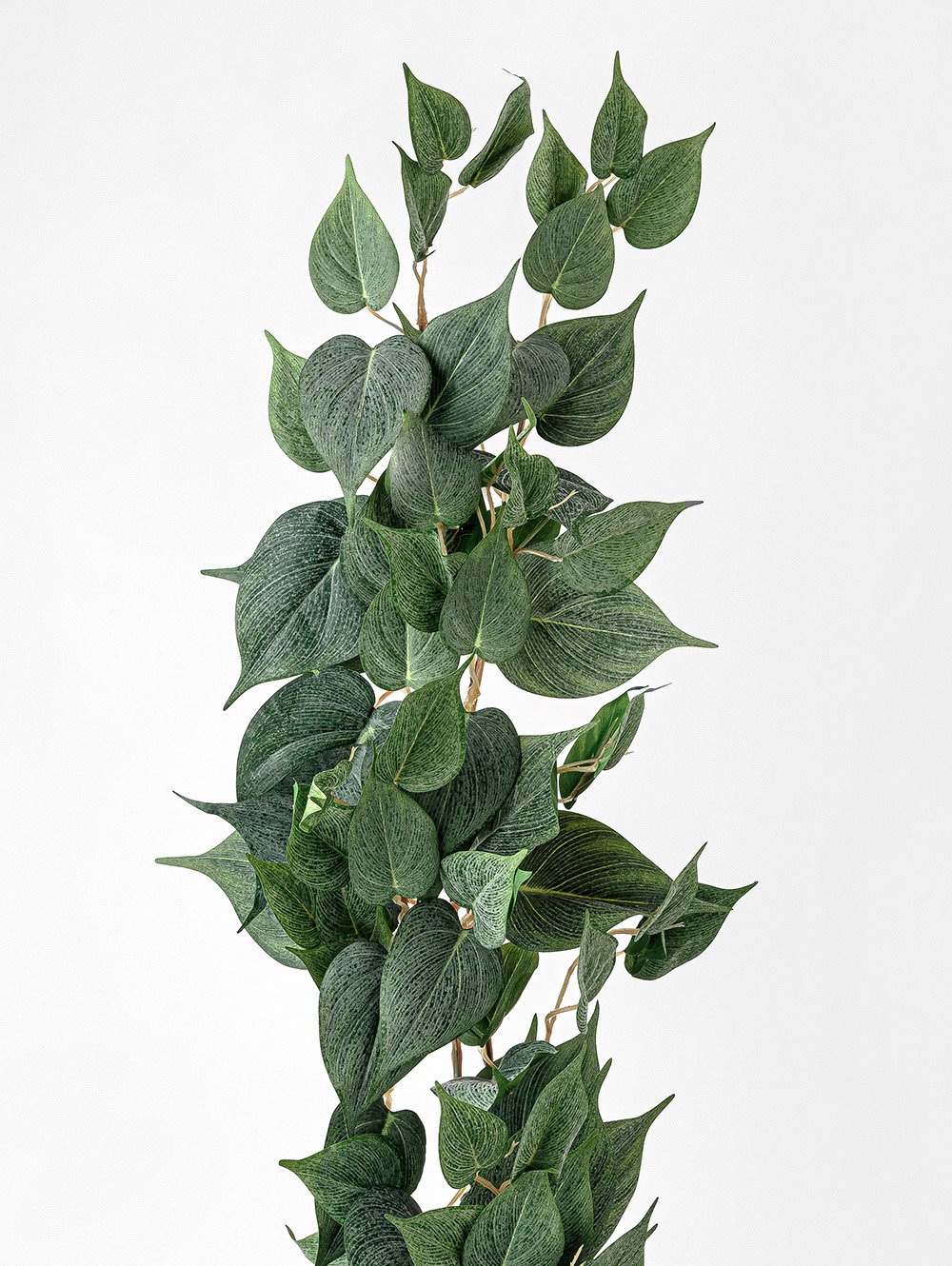 POTUS COLGANTE image number null