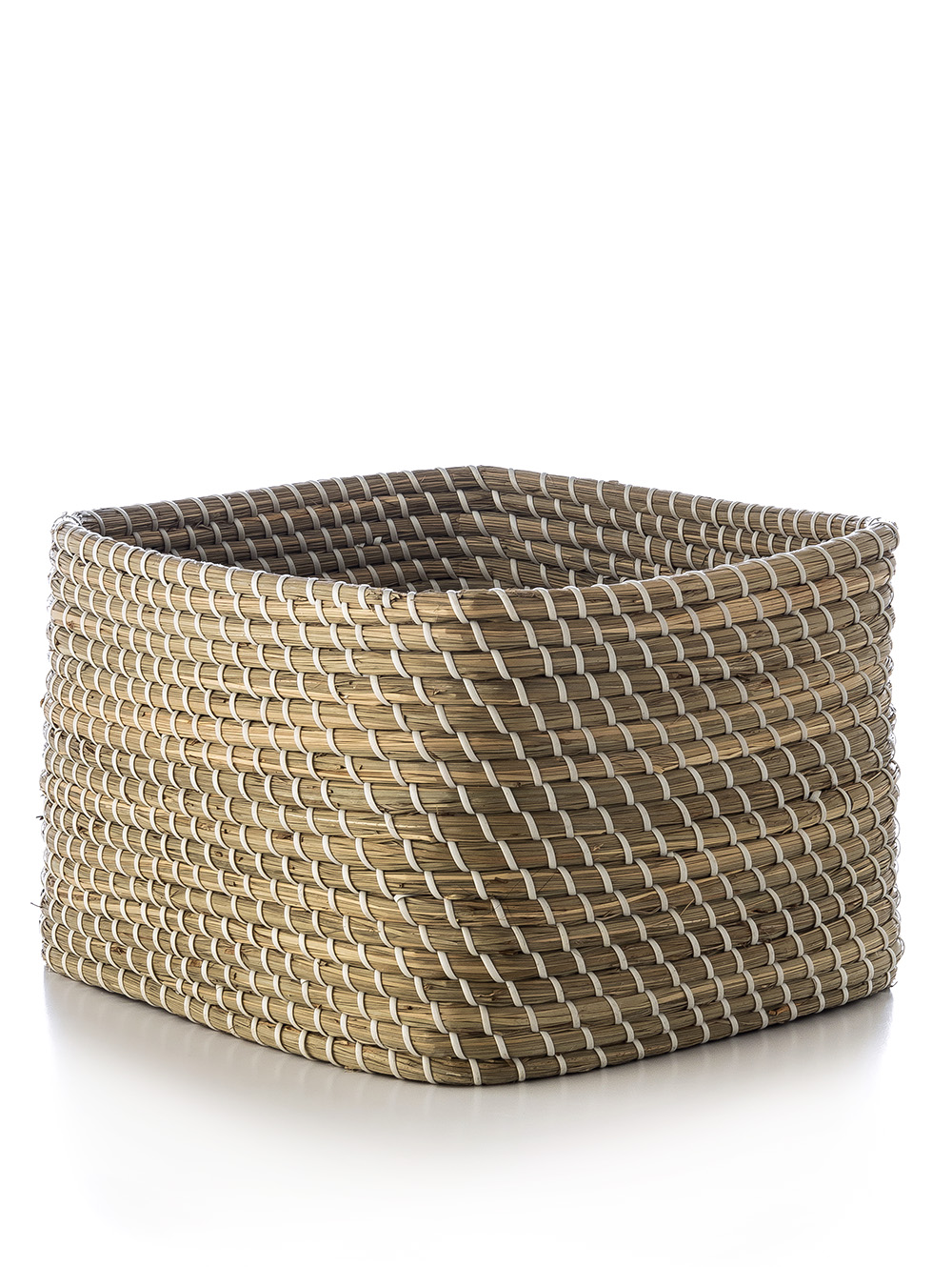 ORGANIZADOR PAIVA image number null