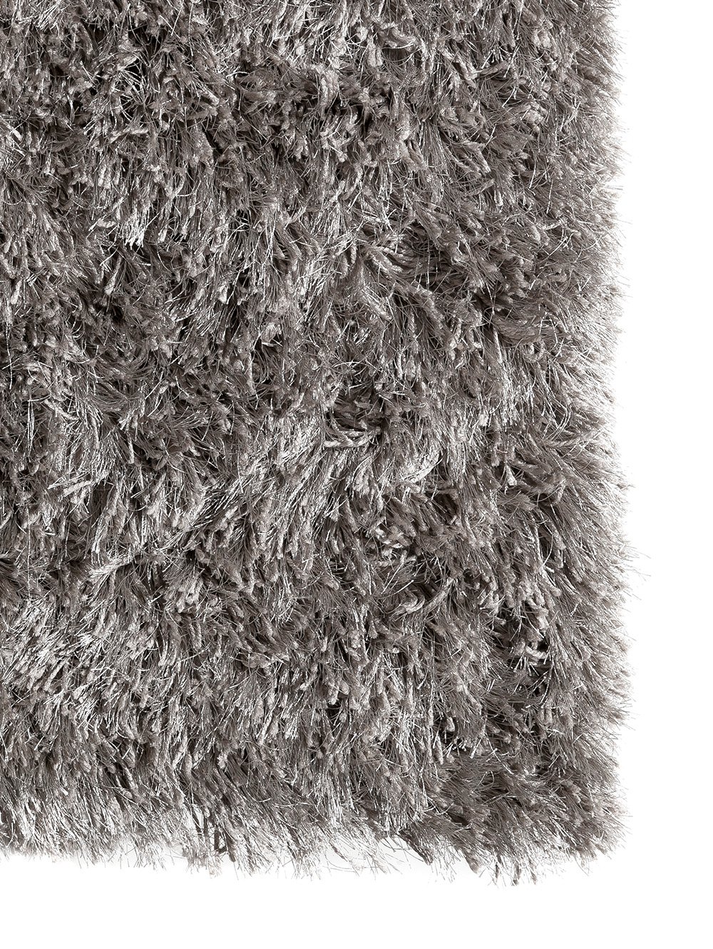 SHAGGY FUNKY image number null