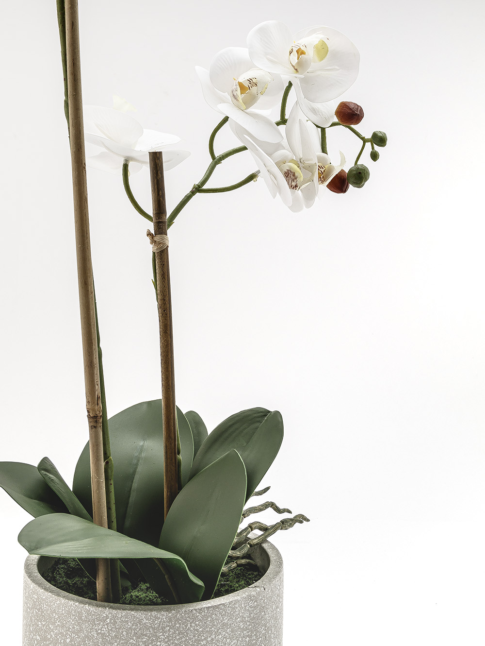 flores artificiales-ORQUIDEA GIULIA L CEMENTO-TOP-1.jpg image number null