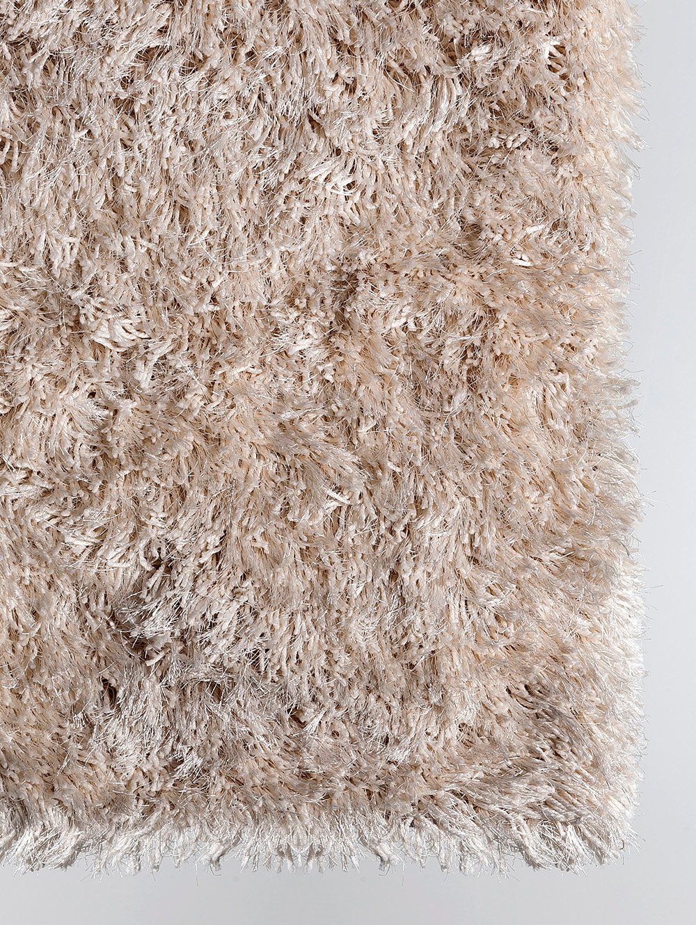 SHAGGY FUNKY image number null