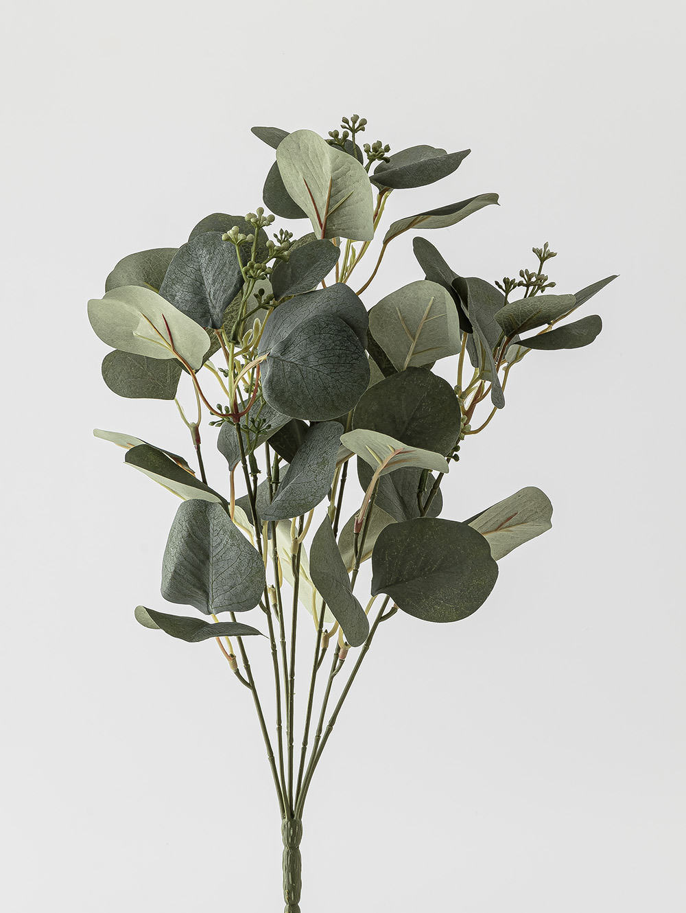 RAMO EUCALIPTO ELISA image number null