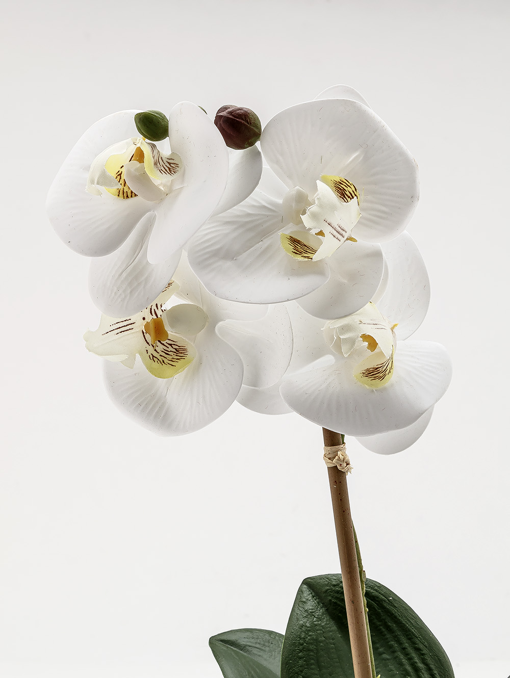 flores artificiales-ORQUIDEA GIULIA M WHITE-TOP-6.jpg image number null