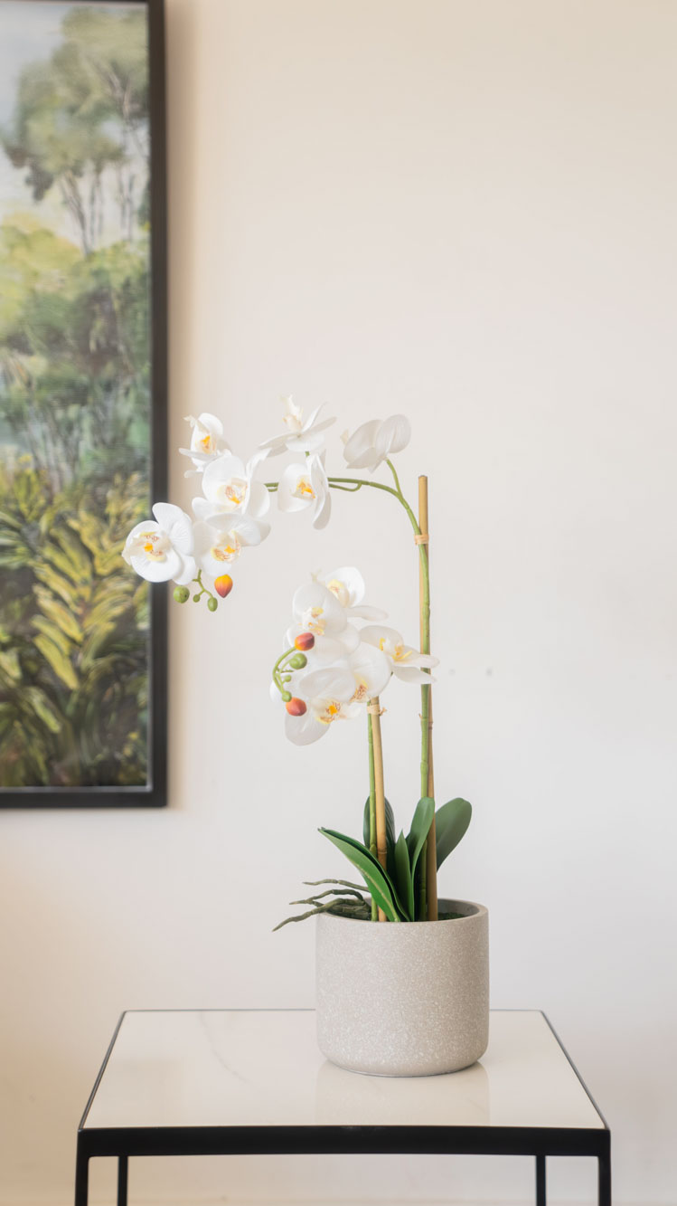 TOP0001-ORQUIDEA GIULIA L CEMENTO 1.jpg image number null