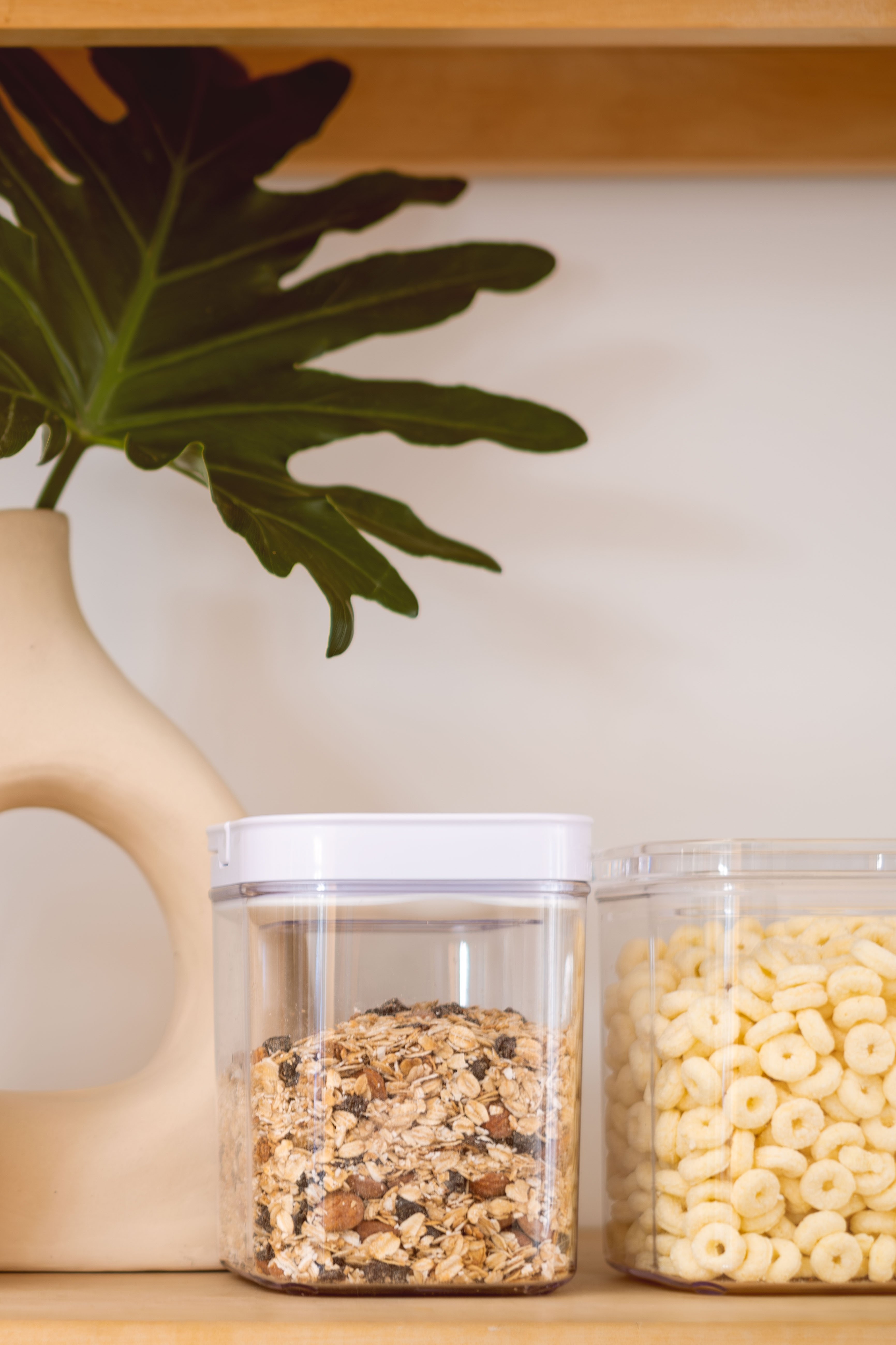 FRASCO FLIPLOCK image number null