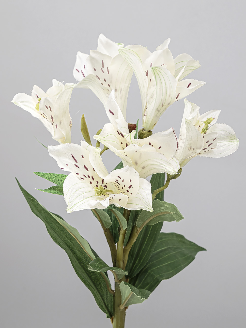 VARA LIRIO image number null