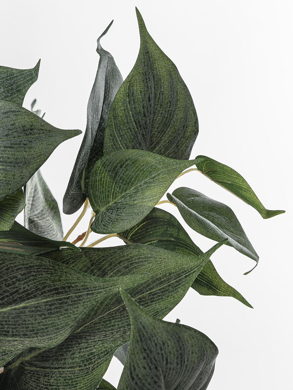 planta artificial-POTUS RAMO-LC CISNES-5.jpg image number null