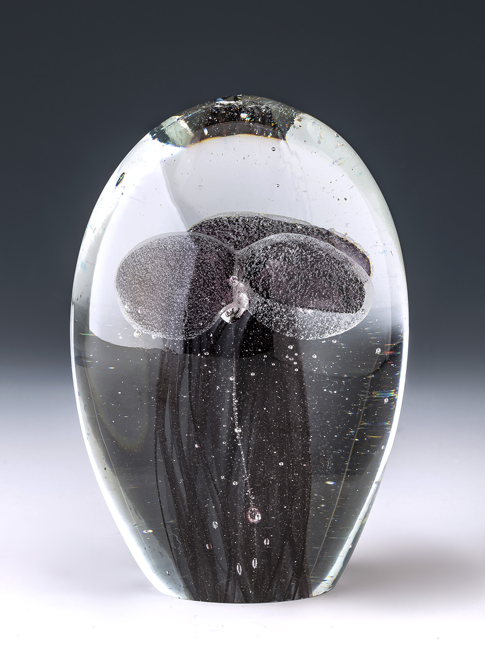 PISAPAPELES JELLY FISH MULTY BLACK image number null