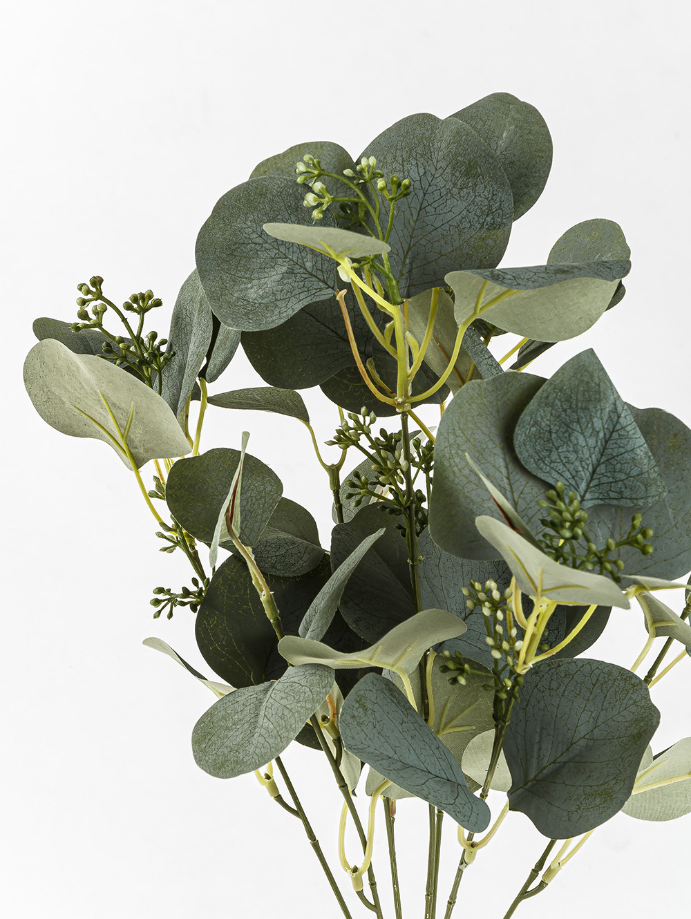 VARA EUCALIPTO ELISA image number null