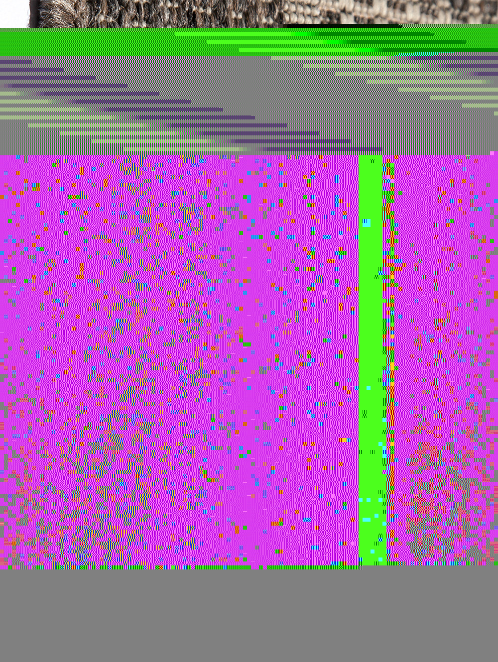 SISALO CAFE CON GUARDA image number null