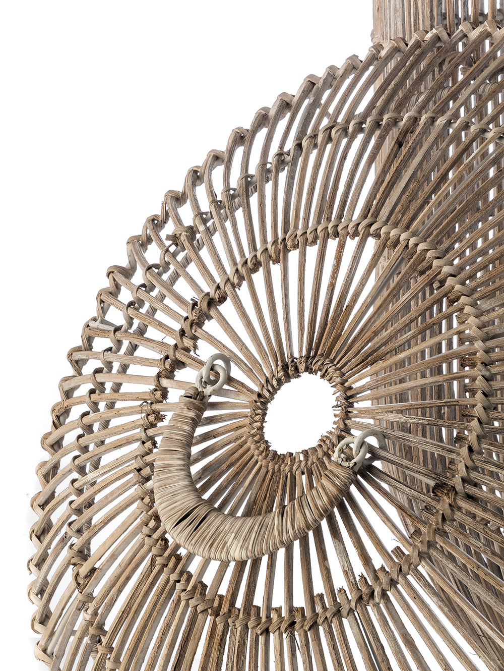 CANASTO DAGMAR image number null