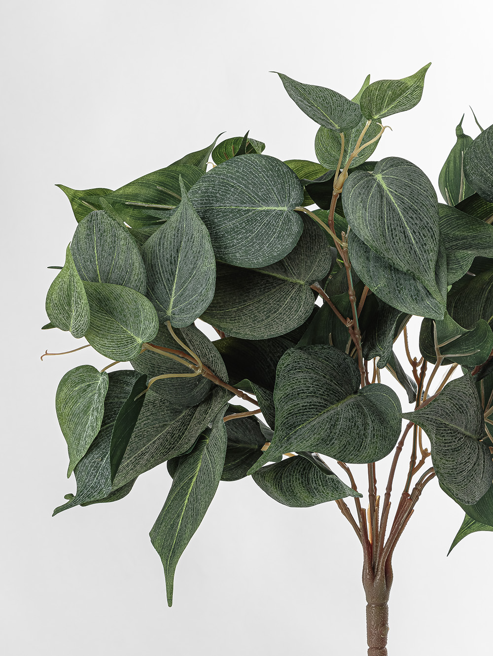 POTUS RAMO image number null