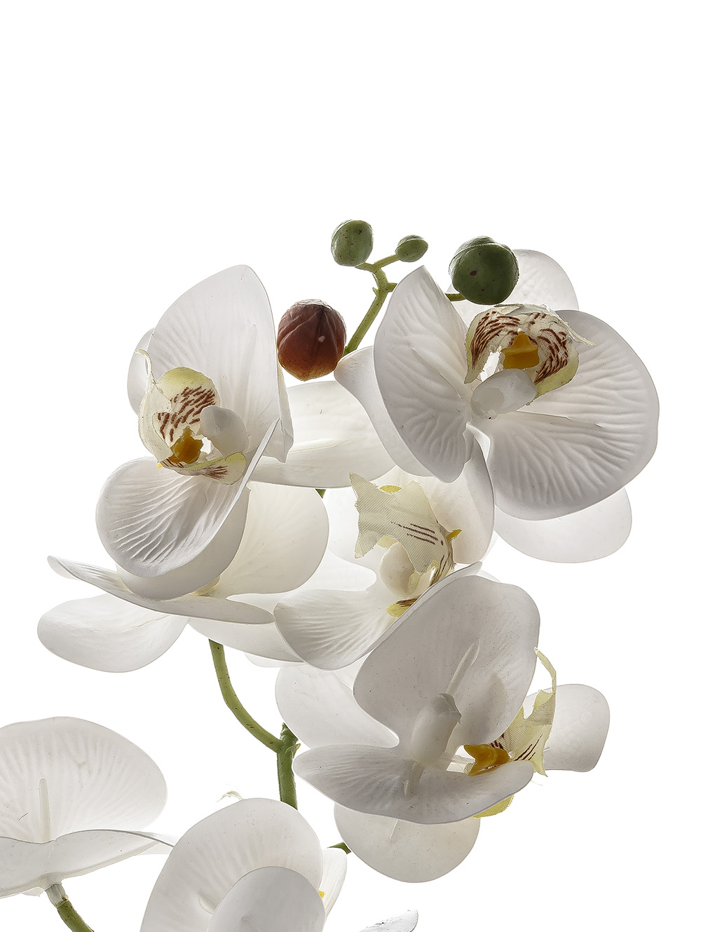 flores artificiales-ORQUIDEA GIULIA L CEMENTO-TOP-7.jpg image number null