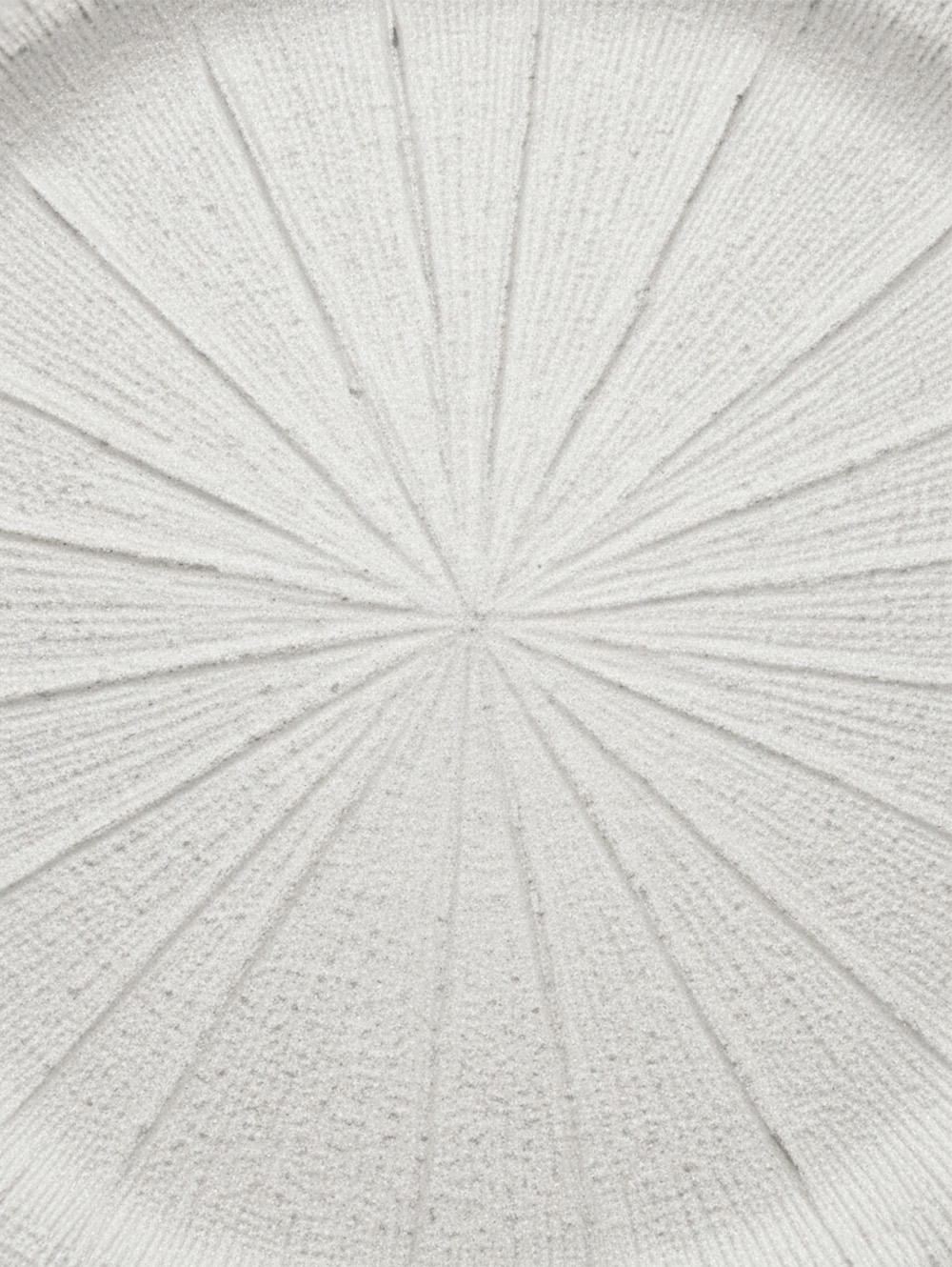 PLATO DE SITIO SPARK WHITE image number null