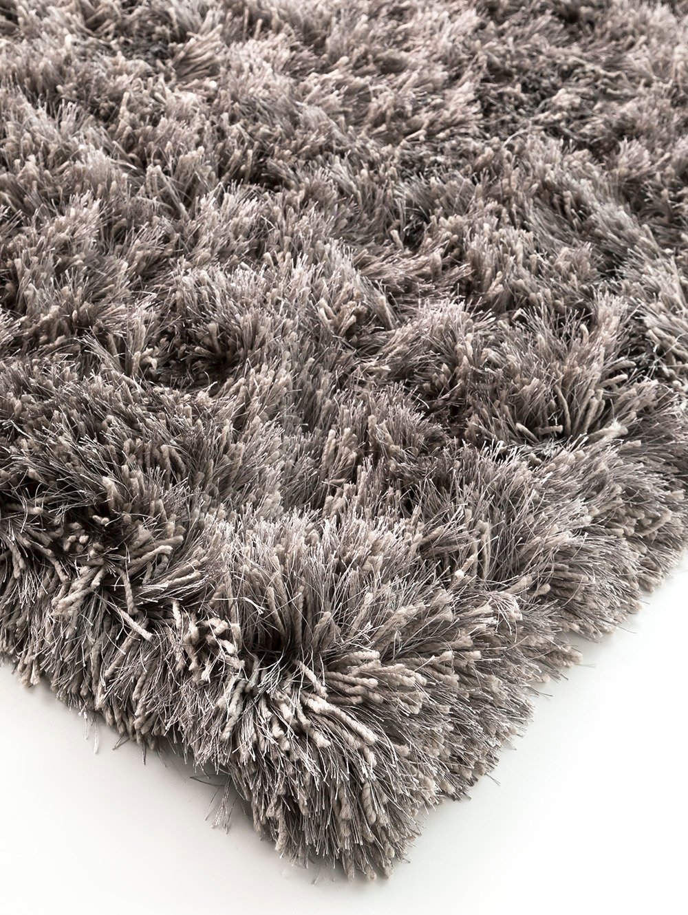 SHAGGY FUNKY image number null