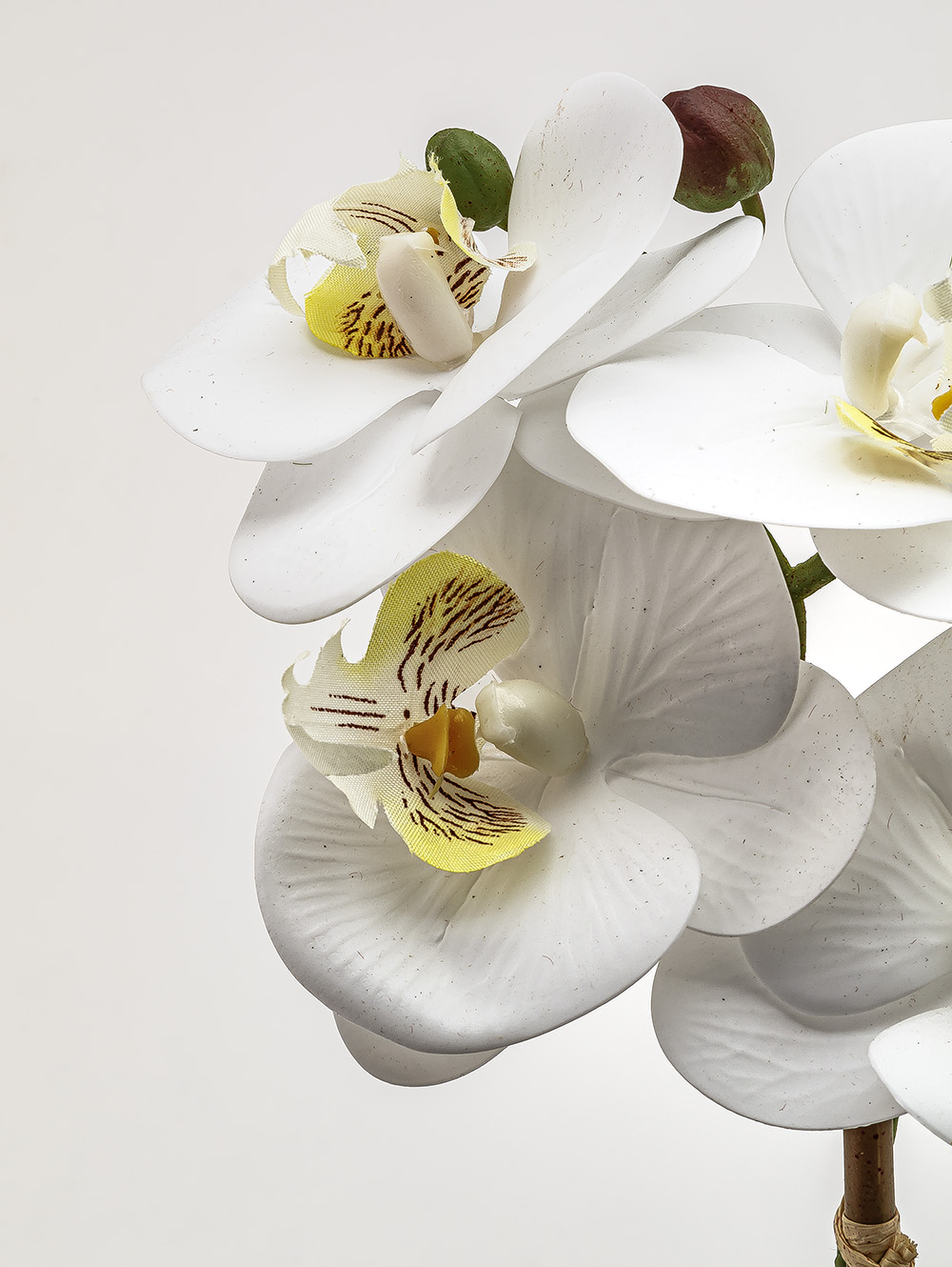 flores artificiales-ORQUIDEA GIULIA M WHITE-TOP-7.jpg image number null