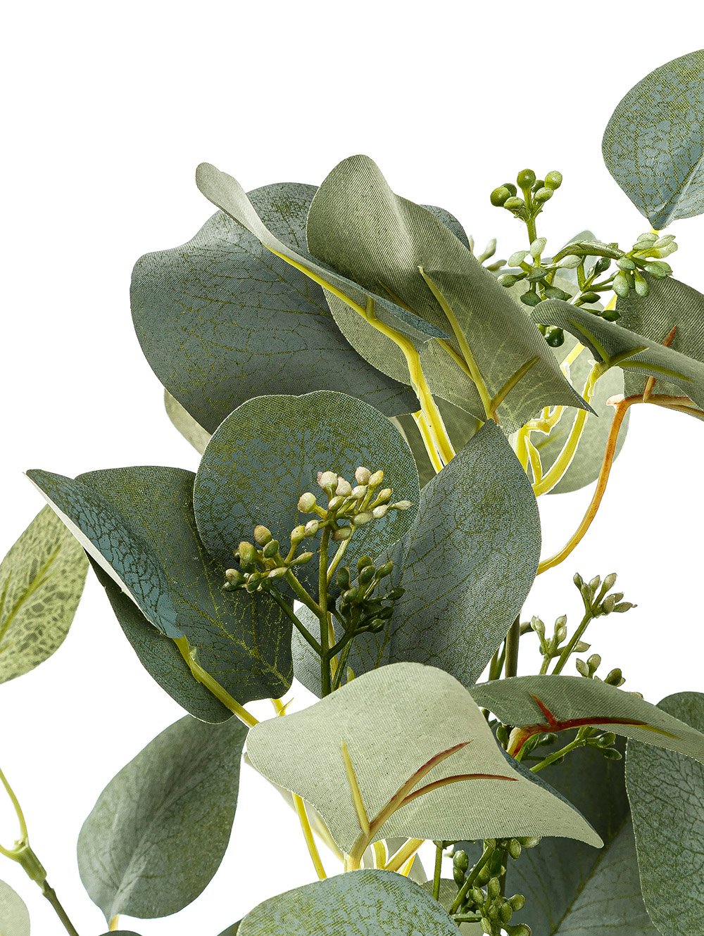 VARA EUCALIPTO ELISA image number null