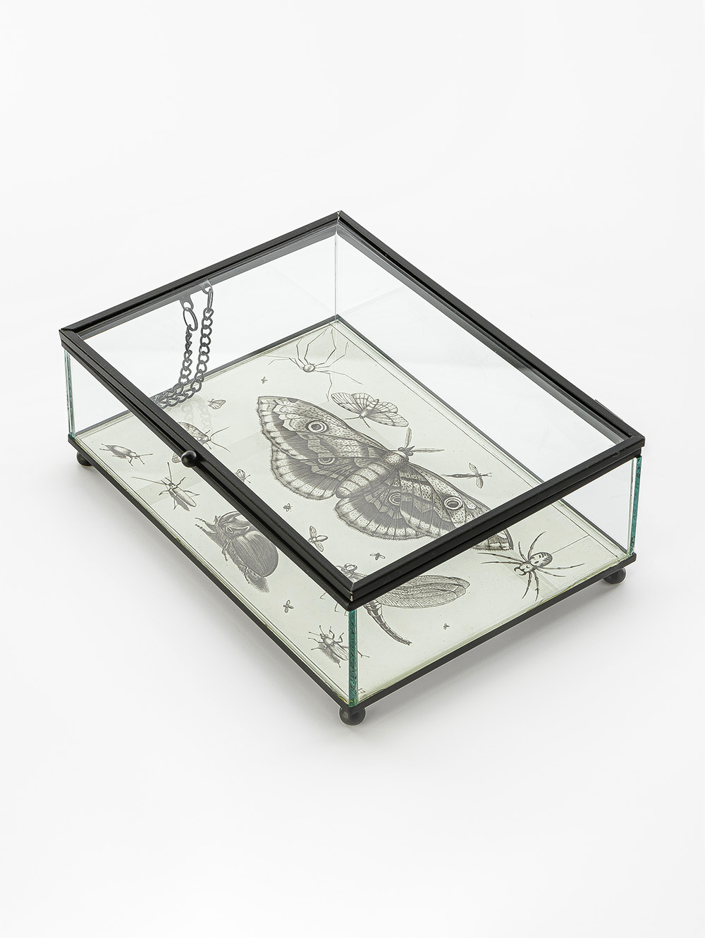 CAJA DE VIDRIO BITELY image number null