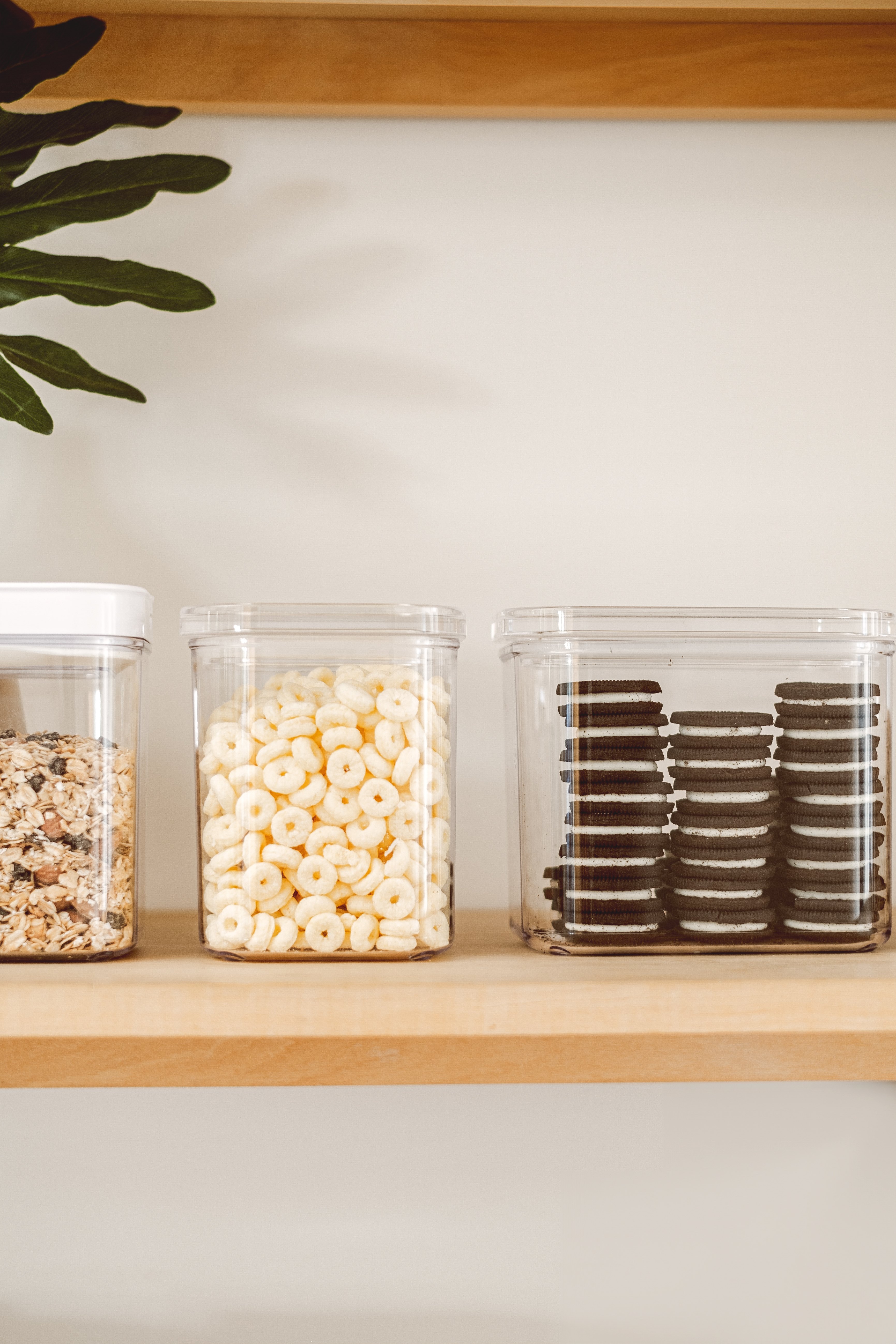 FRASCO FLIPLOCK image number null