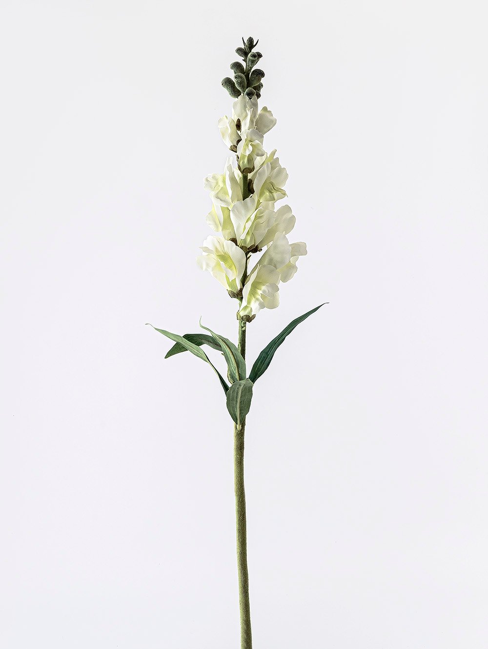 VARA CONEJITO ELISA image number null