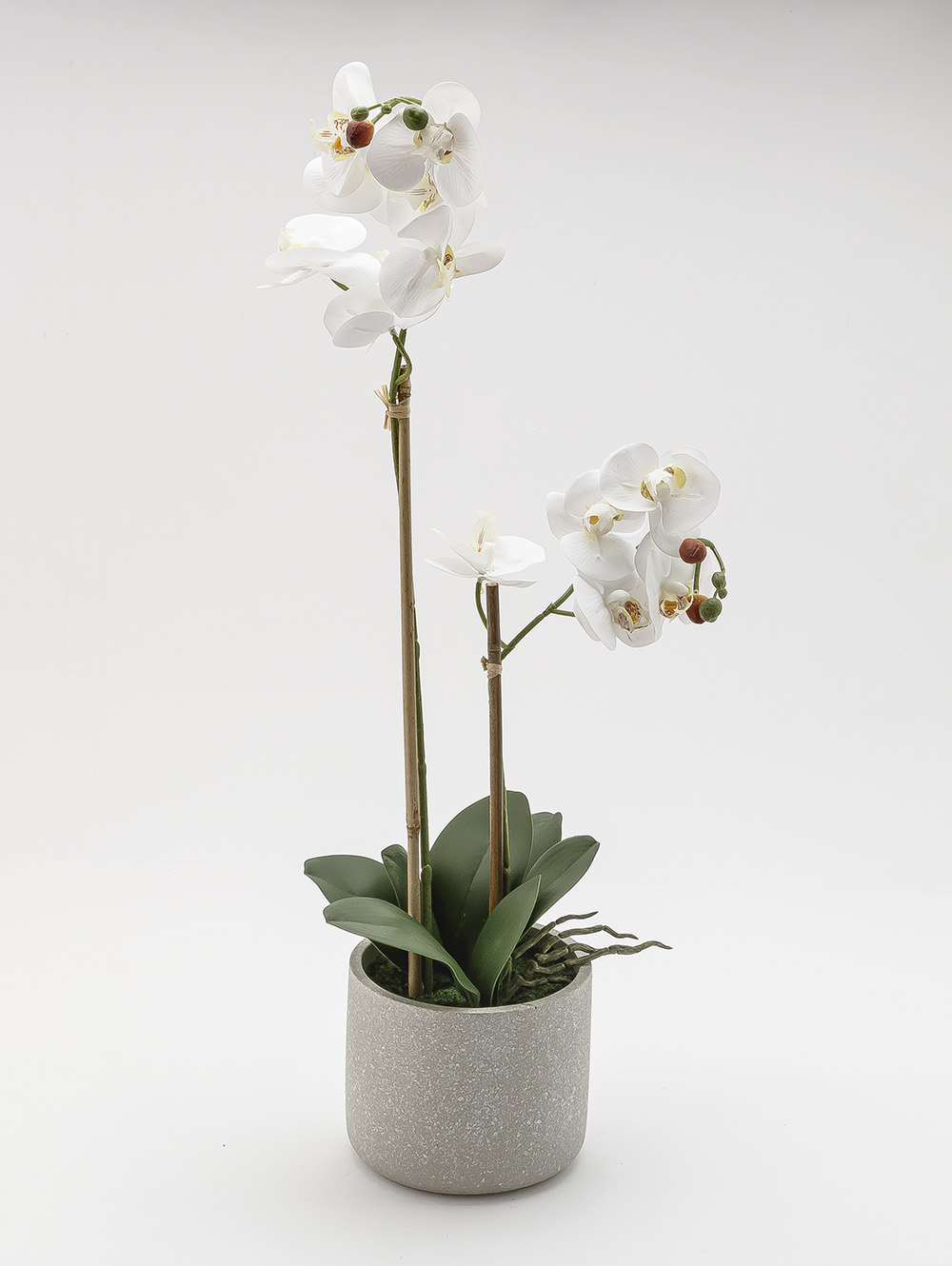 flores artificiales-ORQUIDEA GIULIA L CEMENTO-TOP-2.jpg image number null