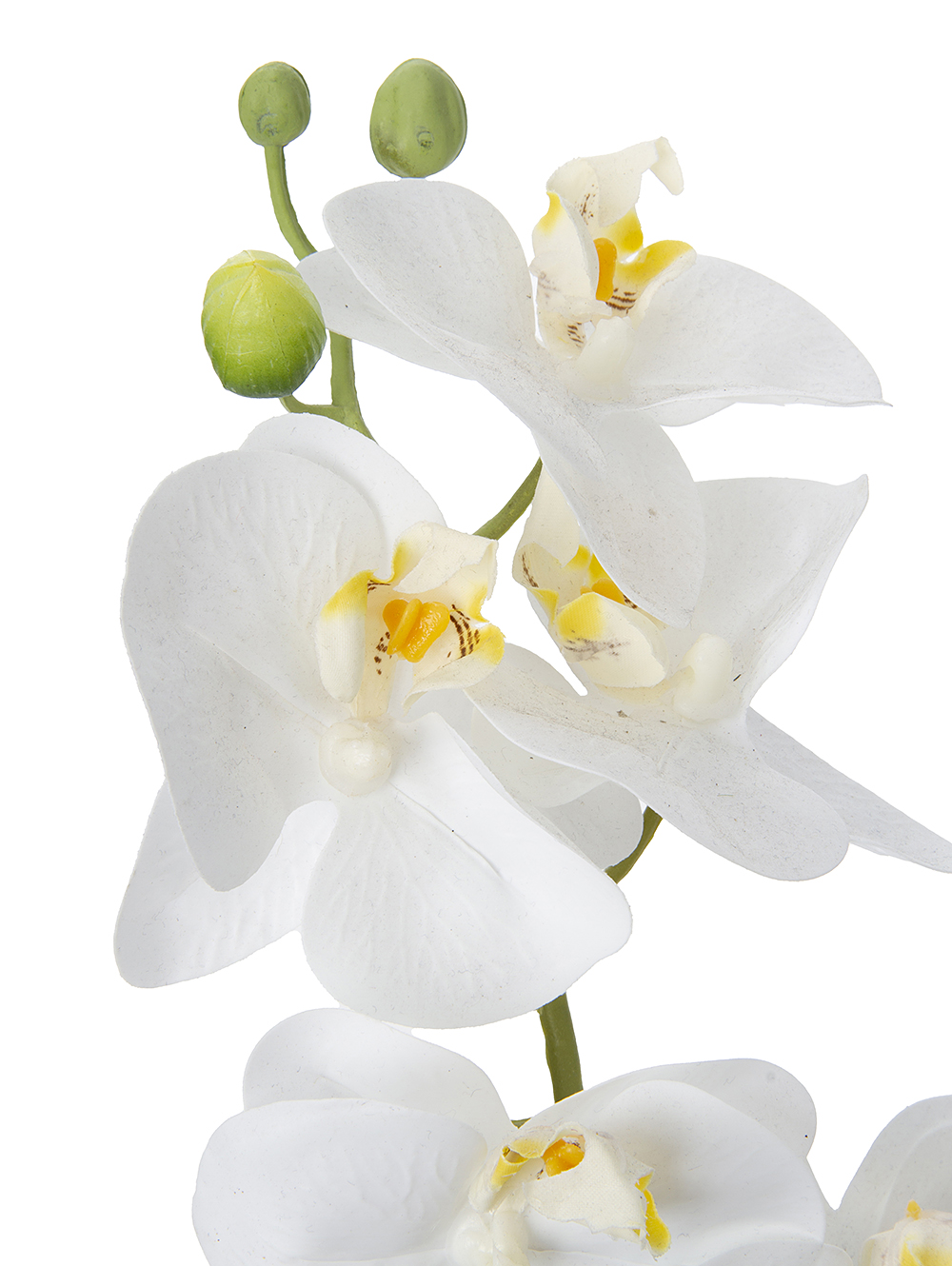 Plantas artificiales Flor orquidea-MACETA CON ORQUIDEA ELISA WHITE-Tiendas Landmark-1.jpg image number null